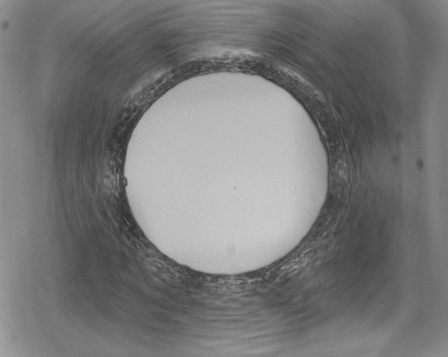 X0000078830869200612111517