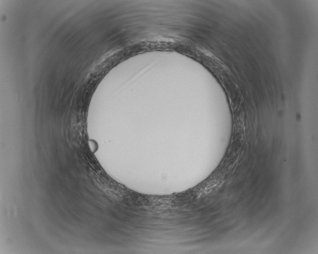 X0000078830870200612111517