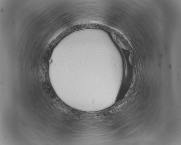 X0000078830871200612111517