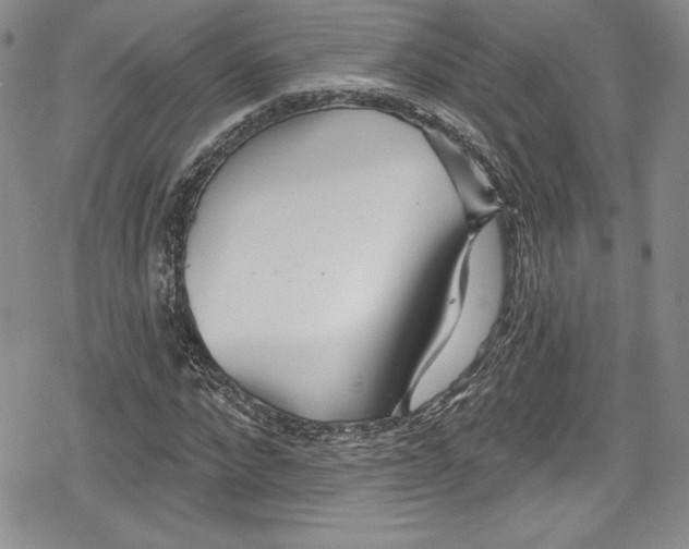 X0000078830872200612111517