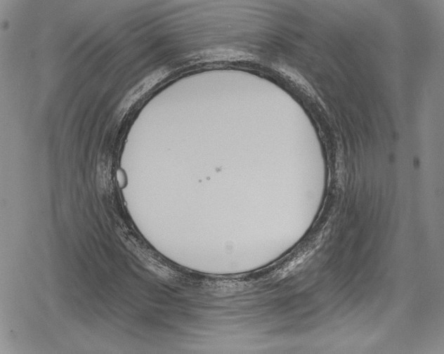 X0000078830873200612111517