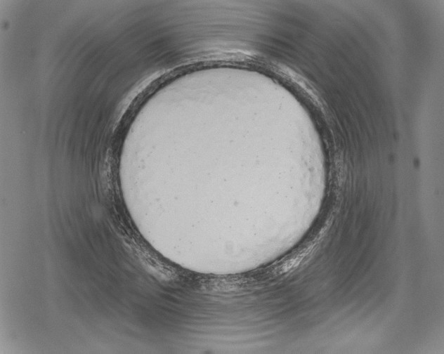 X0000078830875200612111517