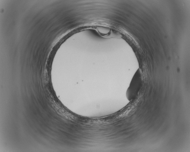 X0000078830876200612111517