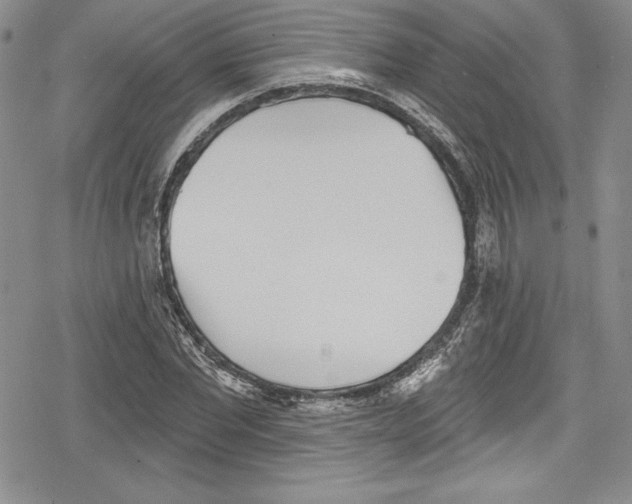 X0000078830877200612111517