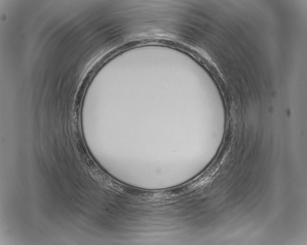 X0000078830879200612111517