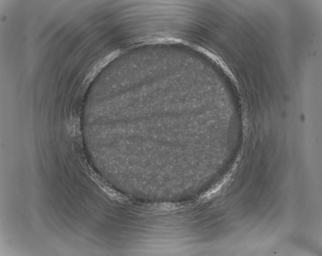 X0000078830881200612111517