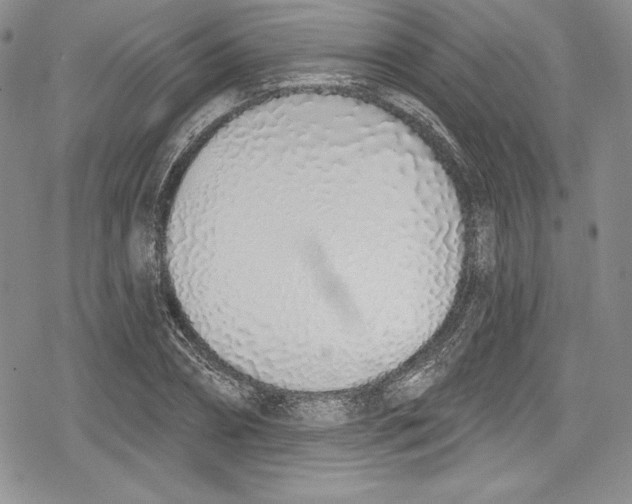 X0000078830882200612111517