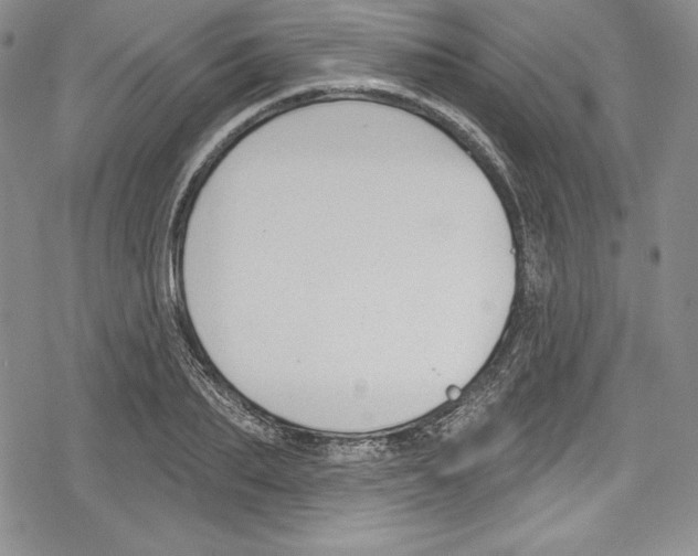 X0000078830887200612111517