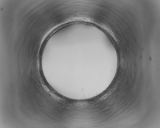 X0000078830888200612111517