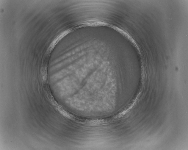 X0000078830889200612111517