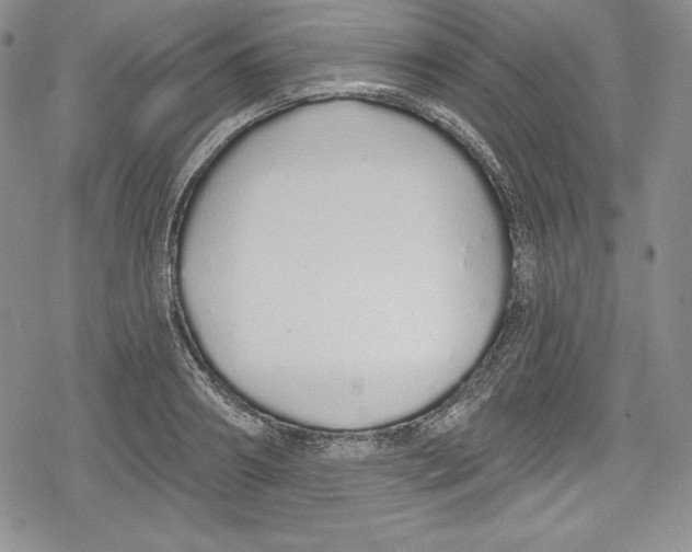 X0000078830890200612111517