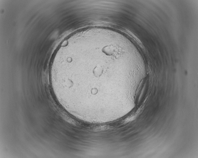 X0000078830891200612111517