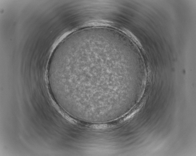 X0000078830893200612111517