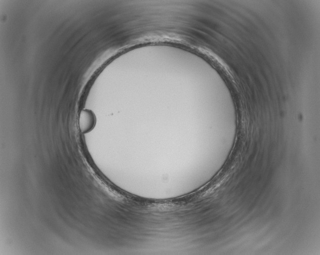 X0000078830894200612111517