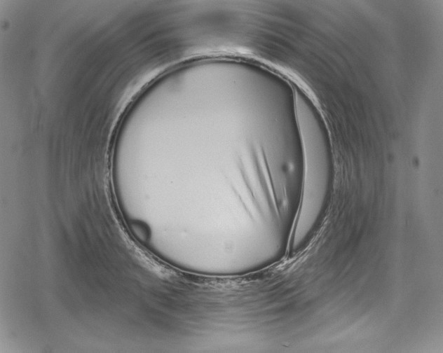 X0000078830895200612111516