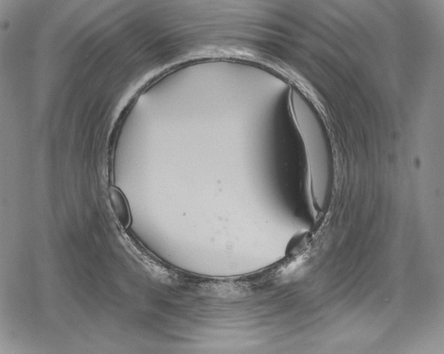 X0000078830896200612111516