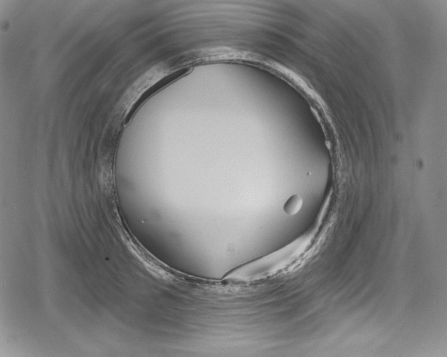 X0000078830897200612111516