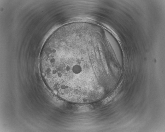 X0000078830899200612111516