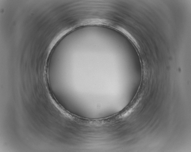 X0000078830901200612111516