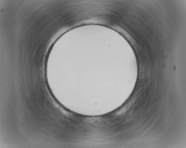 X0000078830902200612111516