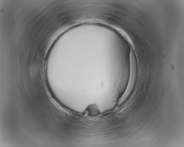 X0000078830903200612111516