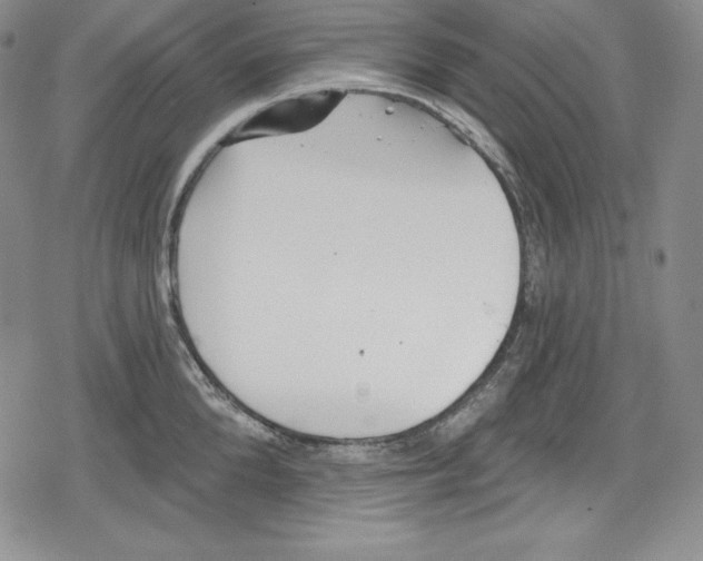 X0000078830904200612111516