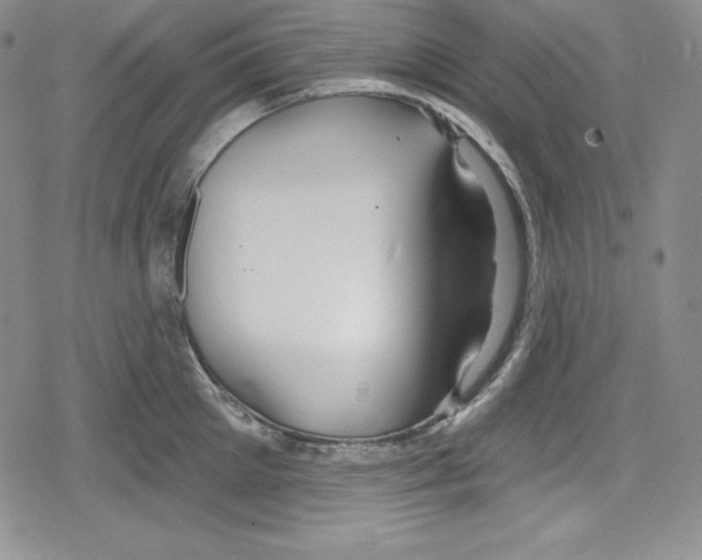 X0000078830905200612111516