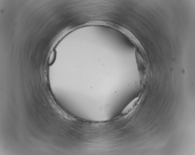 X0000078830908200612111516