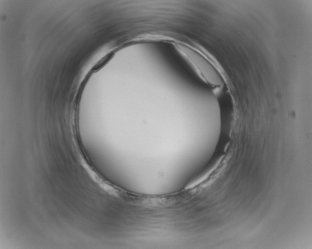 X0000078830909200612111516