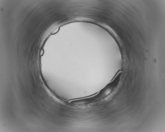 X0000078830910200612111516