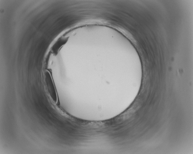 X0000078830912200612111516