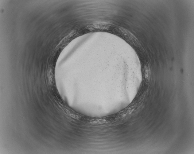 X0000078830915200612111515