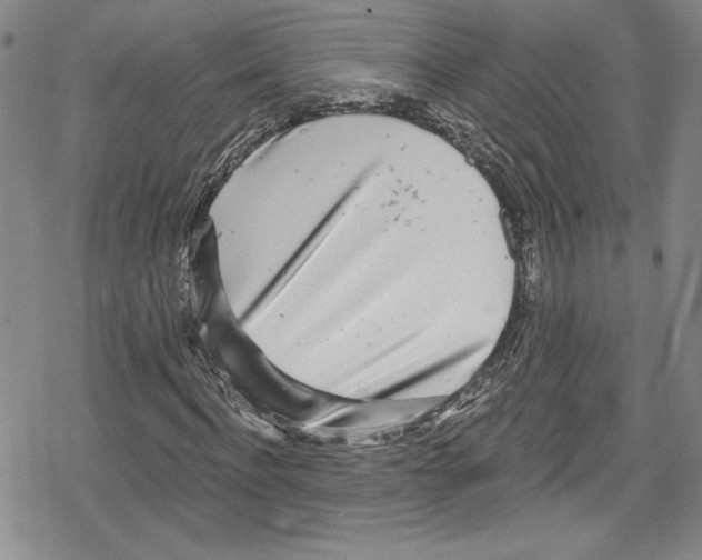 X0000078830916200612111515