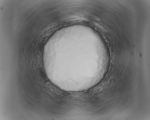 X0000078830917200612111515