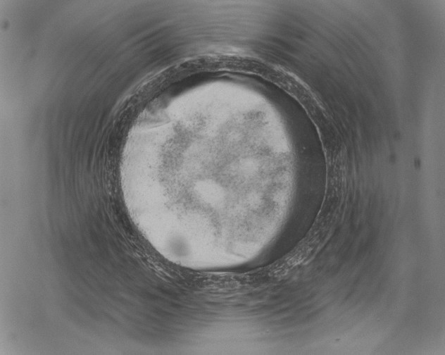 X0000078830919200612111516