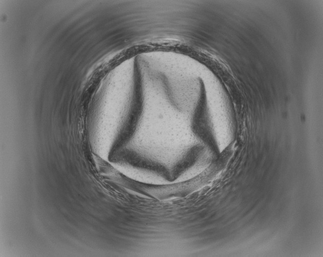 X0000078830920200612111516