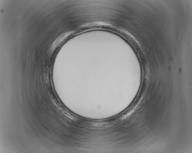 X0000078830921200612111516