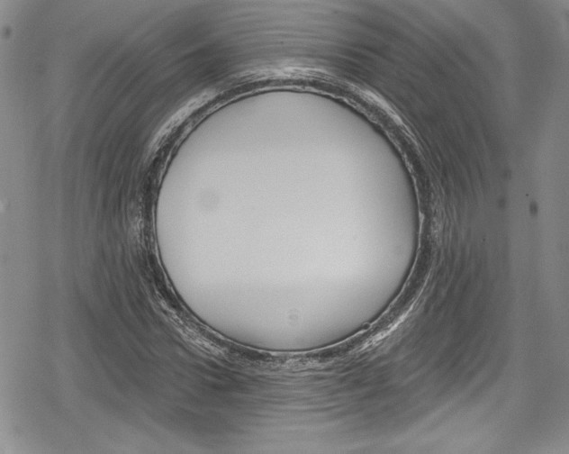 X0000078830922200612111516