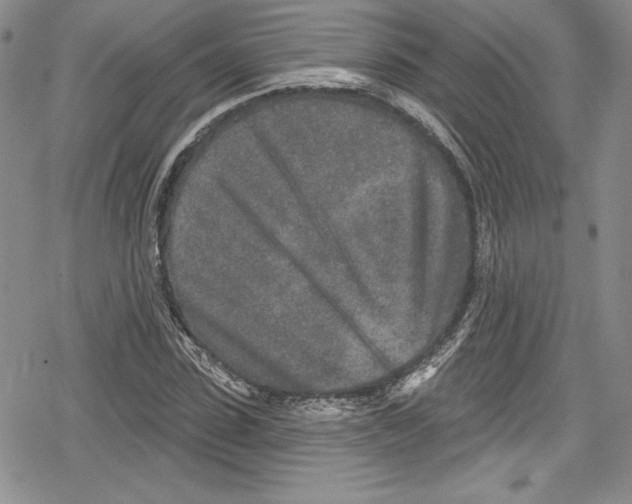 X0000078830923200612111516