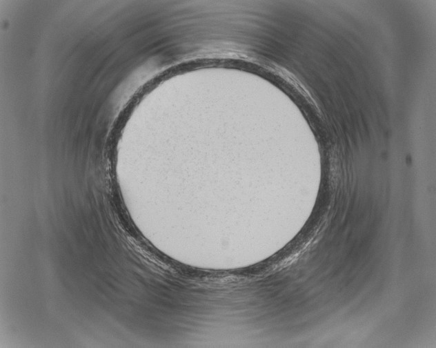 X0000078830926200612111516