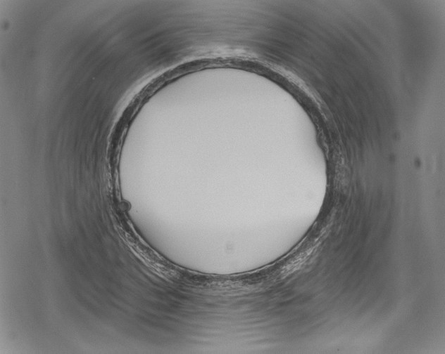 X0000078830927200612111516