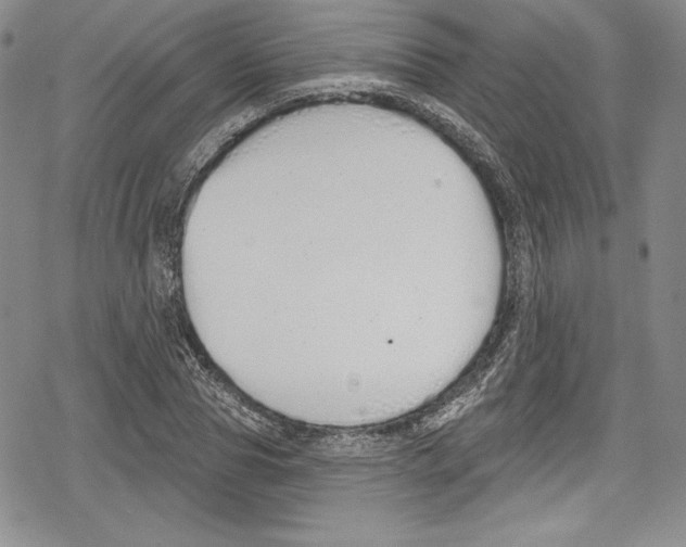 X0000078830929200612111516