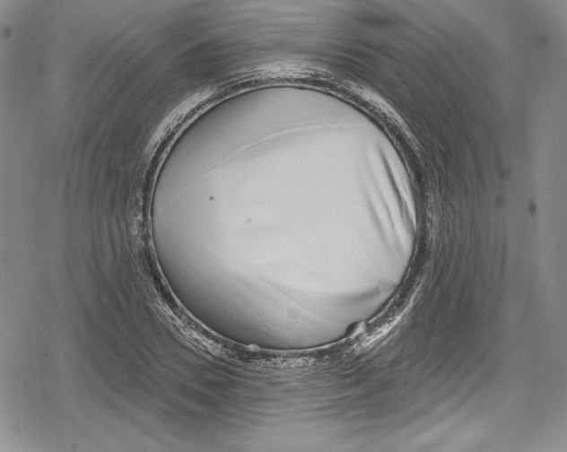 X0000078830930200612111516