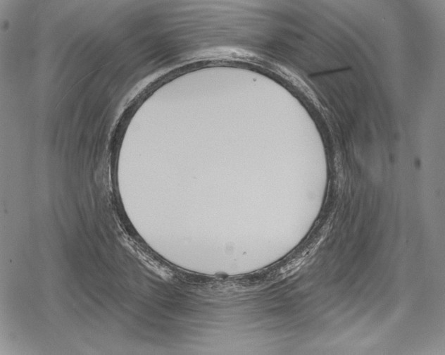 X0000078830931200612111516