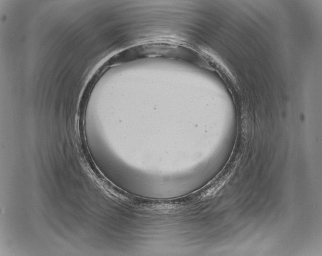 X0000078830932200612111516