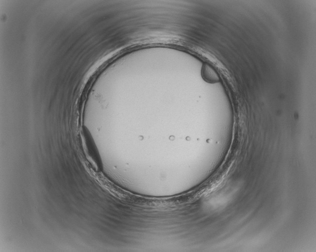 X0000078830933200612111516