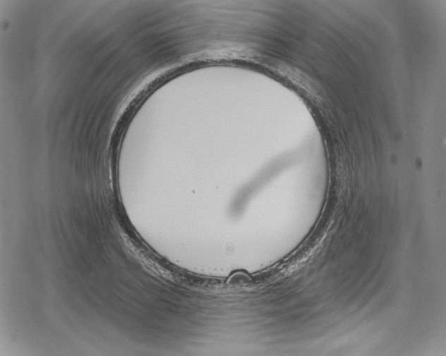 X0000078830934200612111516