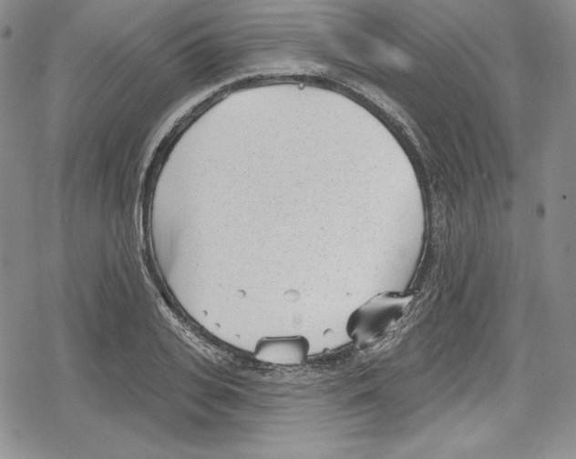 X0000078830935200612111516