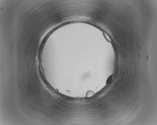 X0000078830936200612111516