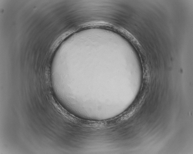 X0000078830937200612111516